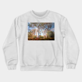 Mighty Ghost Gums - The Cedars, Hahndorf, The Adelaide Hills, SA Crewneck Sweatshirt